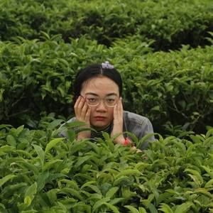 Meet your Posher, Nam